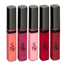 Load image into Gallery viewer, Lip Glaze Collection